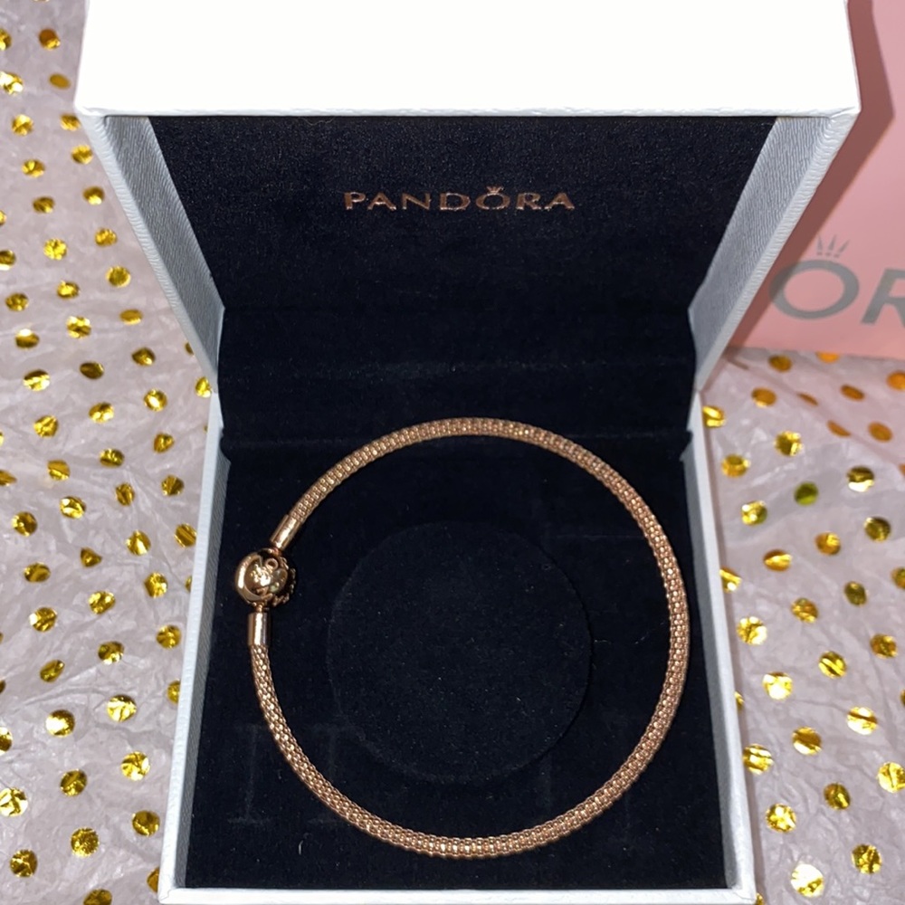Pandora Charm  Bracelet